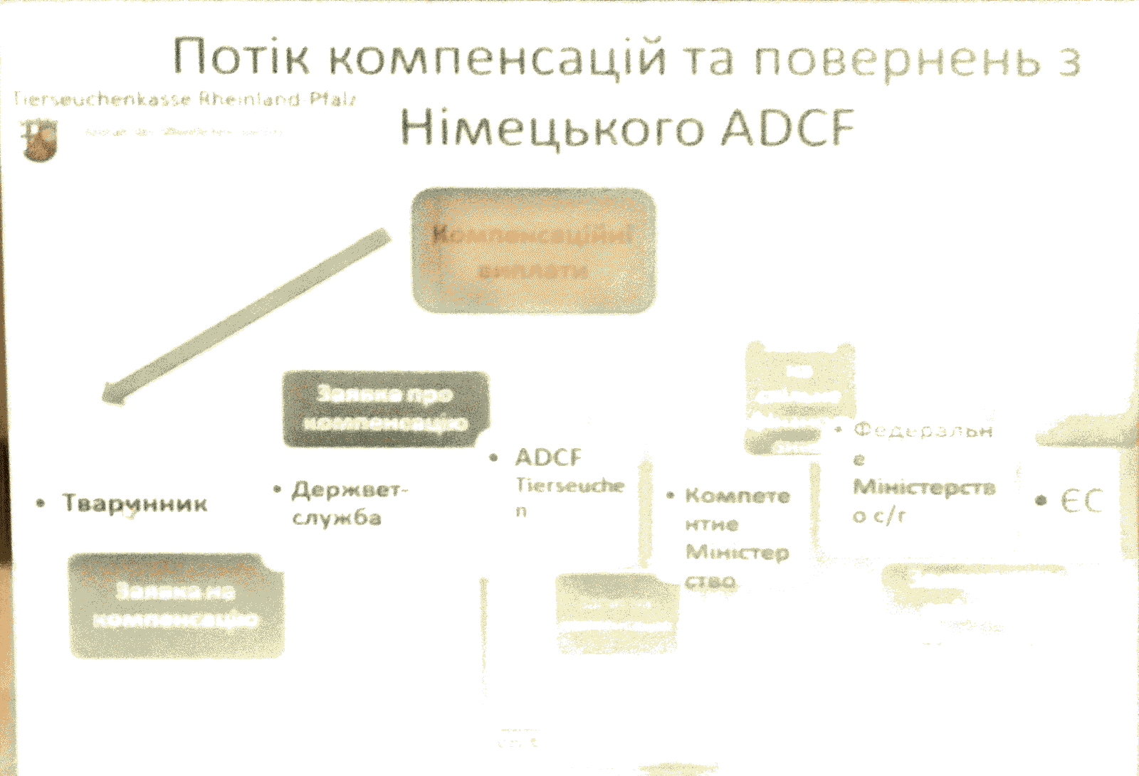 img 20171031 152906.202